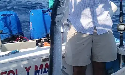 Puerto Vallarta Report Video 1