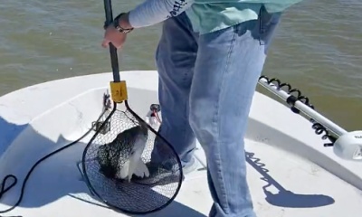 Bolivar Peninsula Report Video 2
