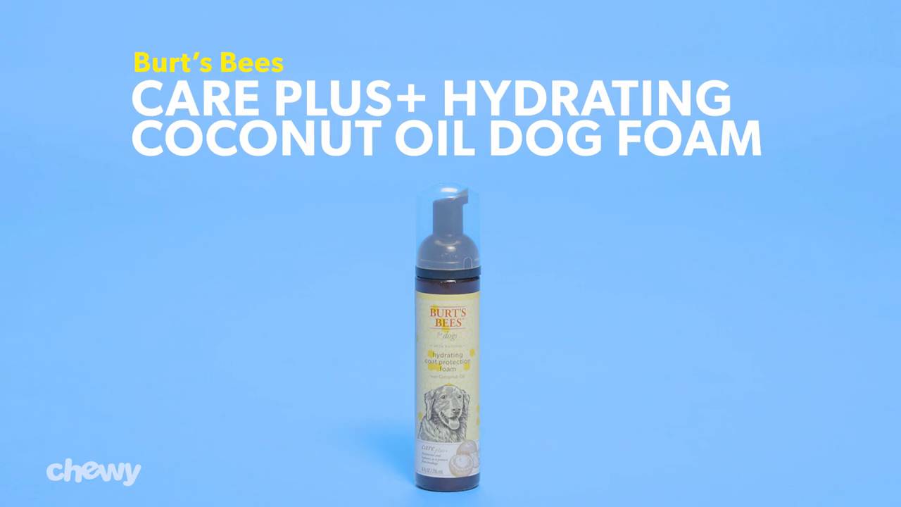 Burt's bees care plus+ hydrating coconut oil hotsell dog shampoo