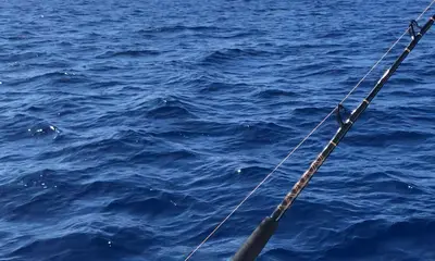 West Bay Report Video 0