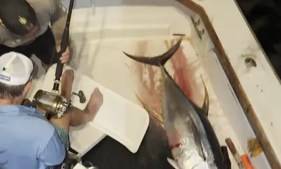 Kailua-Kona Report Video 0