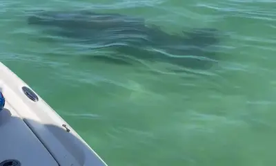 Holmes Beach Report Video 1