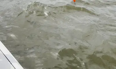 Great day of fishing