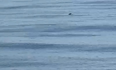 Great fishing trip