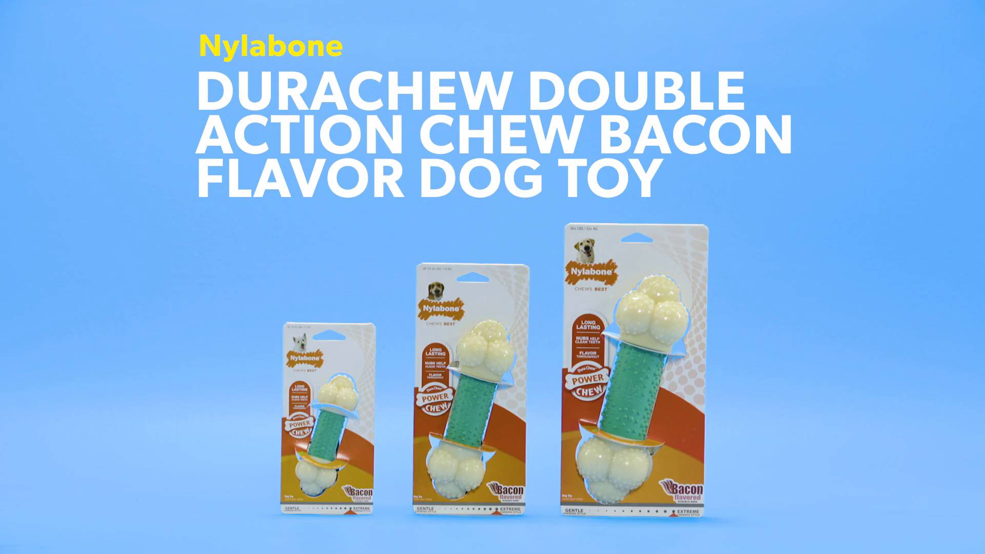 Nylabone double hotsell action chew