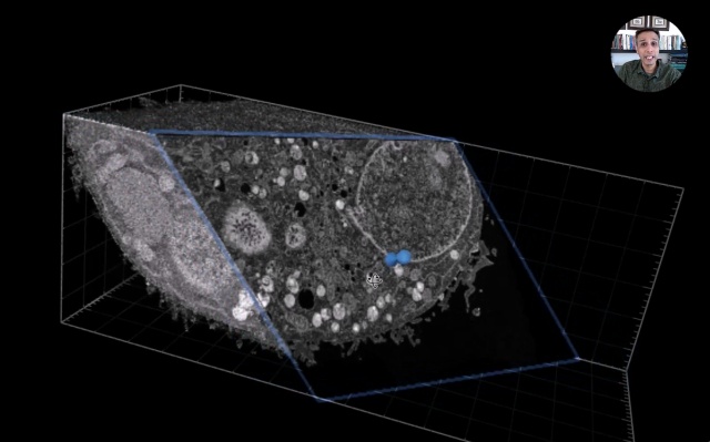 Clipping planes in the FOV in arivis Pro 4.4: tutorial 