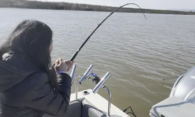 Berkeley Report Video 2