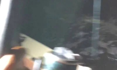 Miami Report Video 1
