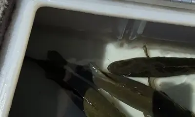 Prior Lake Bericht Video 0