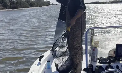 exceeded expectations 