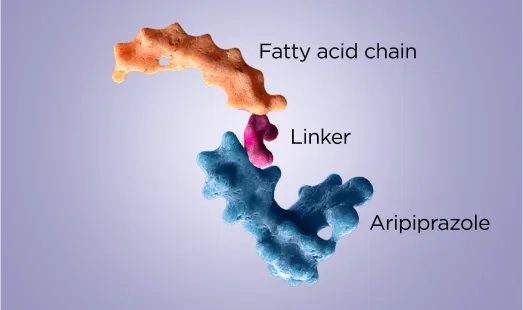 glutathione and thioredoxin antioxidant pathways Thioredoxin and glutathione reductases