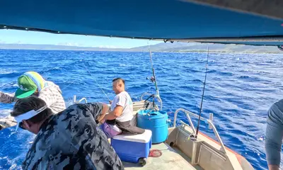 Haleiwa Report Video 0