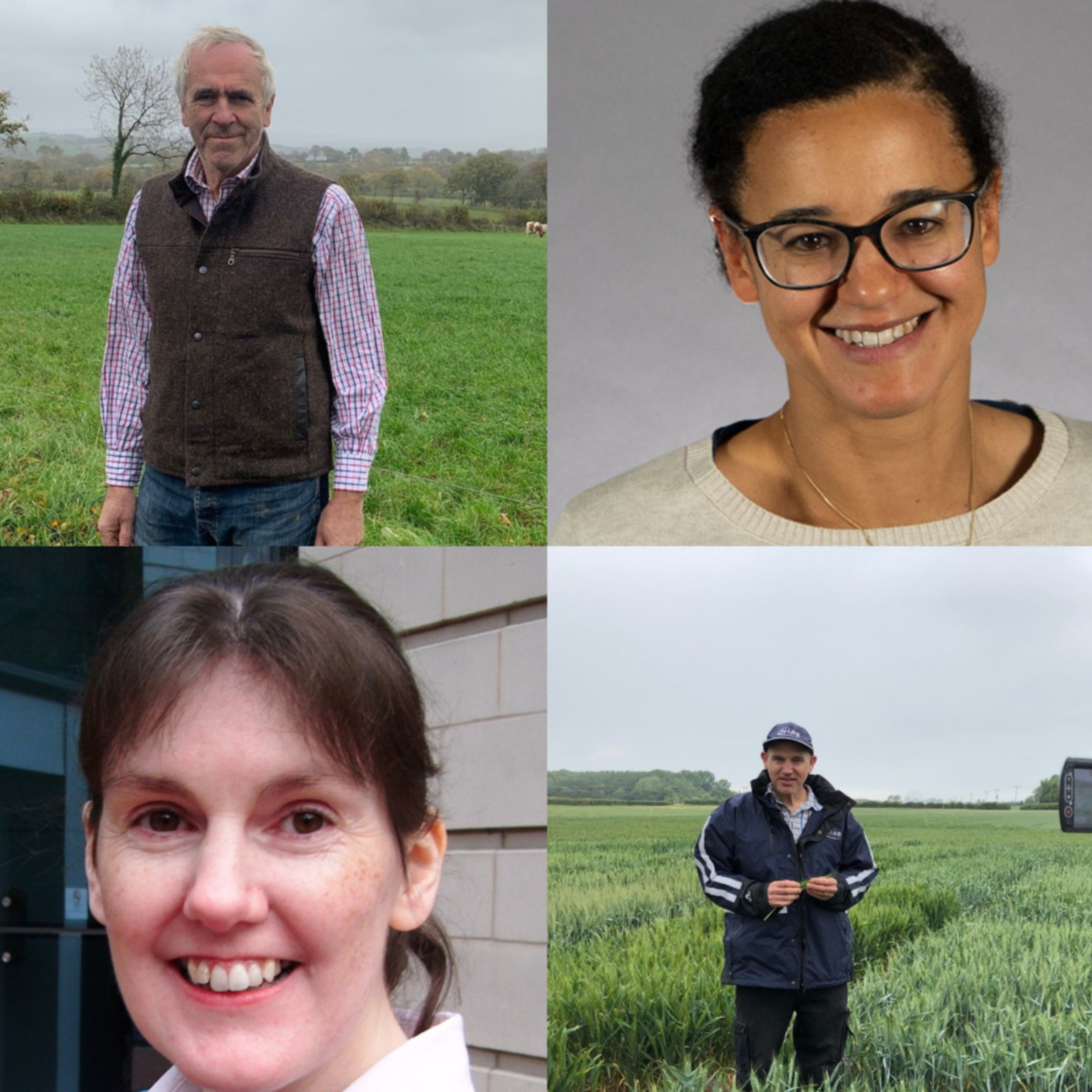 The Crop It Like It\'s Hot Podcast