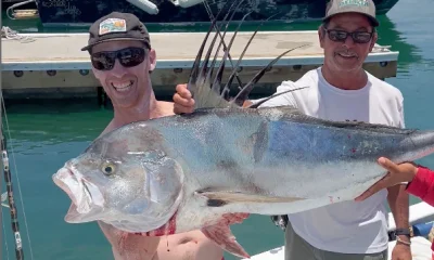 San Jose del Cabo Report Video 1