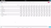 Data entry in the budget worksheet