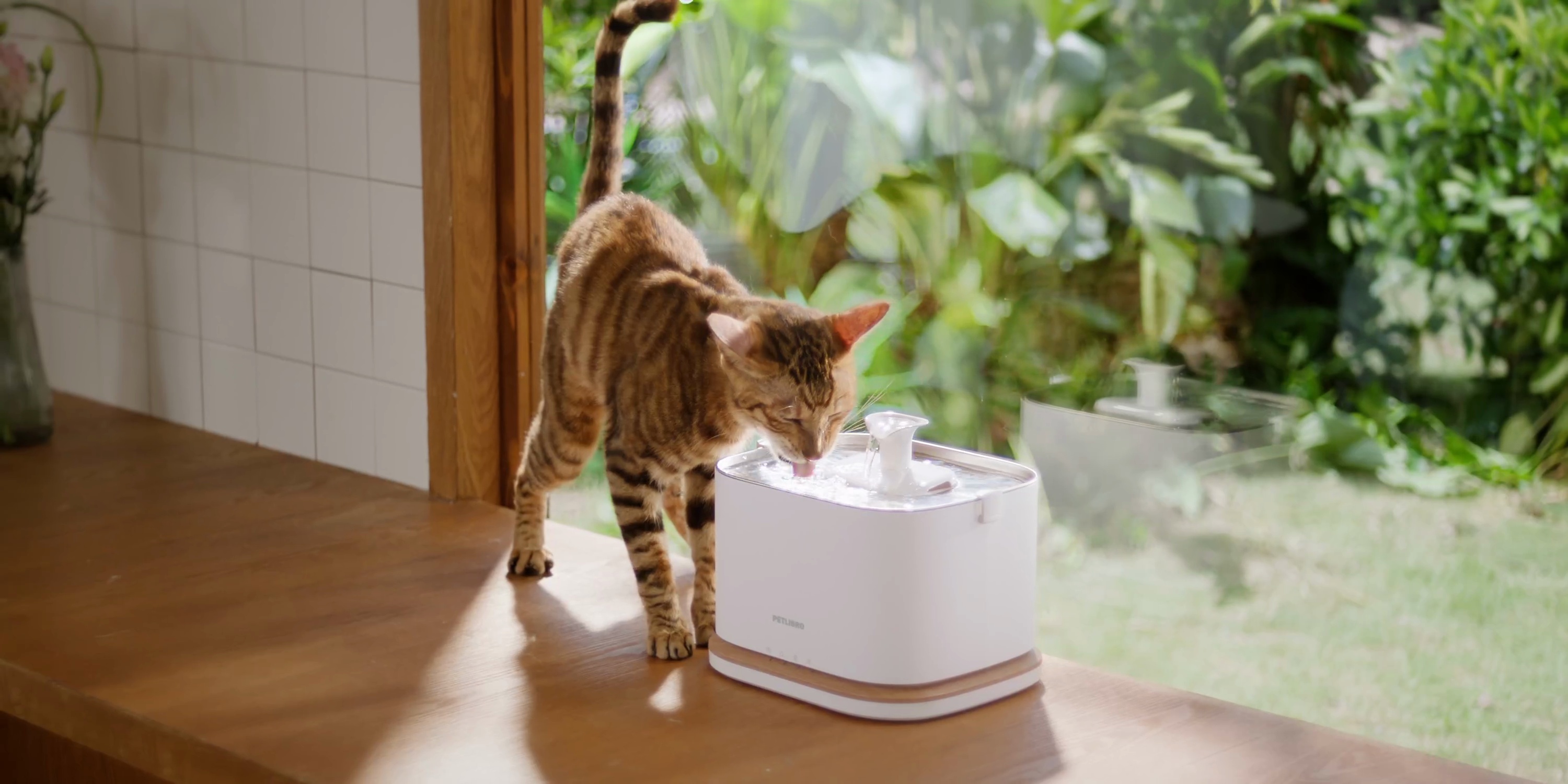 PETLIBRO Dockstream 2 Stainless Steel Cordless Rechargeable Cat