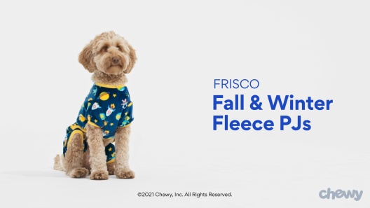 Play Video: Learn More About Frisco From Our Team of Experts
