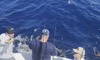 Singer Island Report Video 1