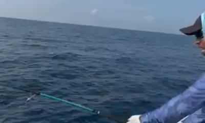 Rapport vidéo Maldives 2
