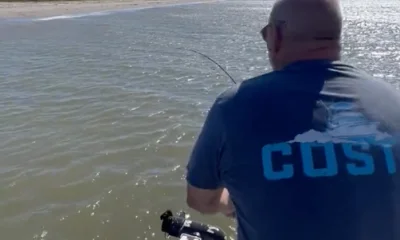 Big schools of Bull Reds moving in!!! 