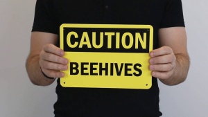 Bee Warning Signs