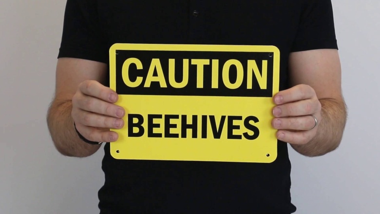 Bee Warning Signs