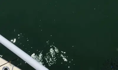 Gloucester Point Report Video 0