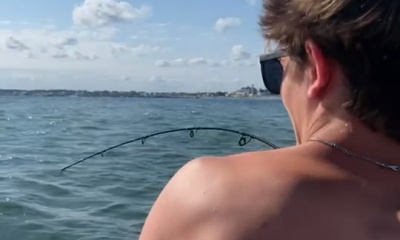 7 sharks in 1 day!!! 