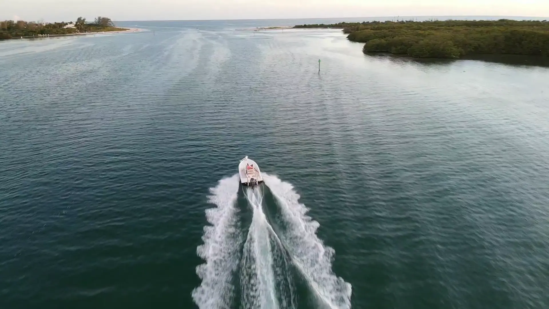 Business Card: Whipp It Reel Good Charters