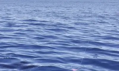 Quepos Report Video 0