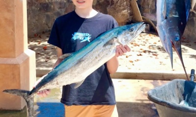 San Jose del Cabo Report Video 0