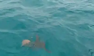 fun experience but better communication was expected 