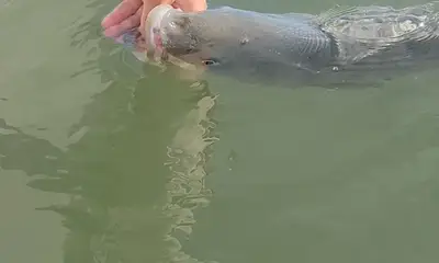 Atlantic City Report Video 0