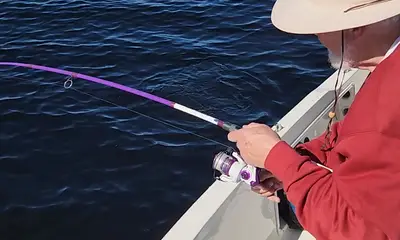 DeBary Report Video 0