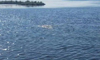 Port Sulphur Report Video 1