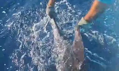 Guanacaste Report Video 2