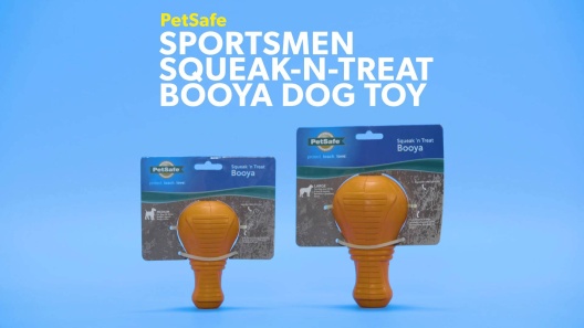 Booya Squeak & Treat Dog Toy, Busy Buddy from PetSafe – Pet Expertise