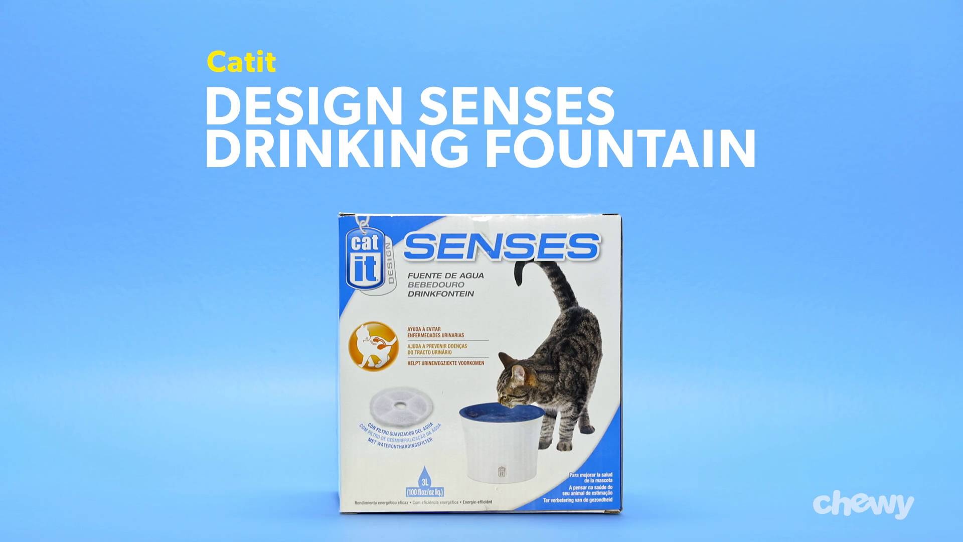 Cat it clearance senses water fountain