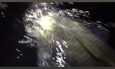 Miami Report Video 1