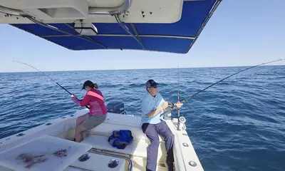 Sonora Report Video 0