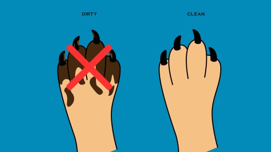 Miracle Care Quickfinder II Dog Clipper Blades