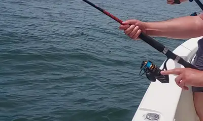 Murrells Inlet Report Video 0