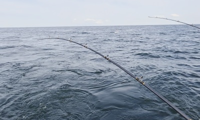 Caught our limit! 
