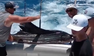 San Jose del Cabo Report Video 0