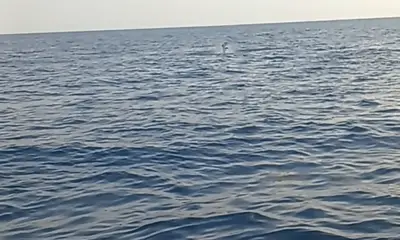 Indian River Report Video 2