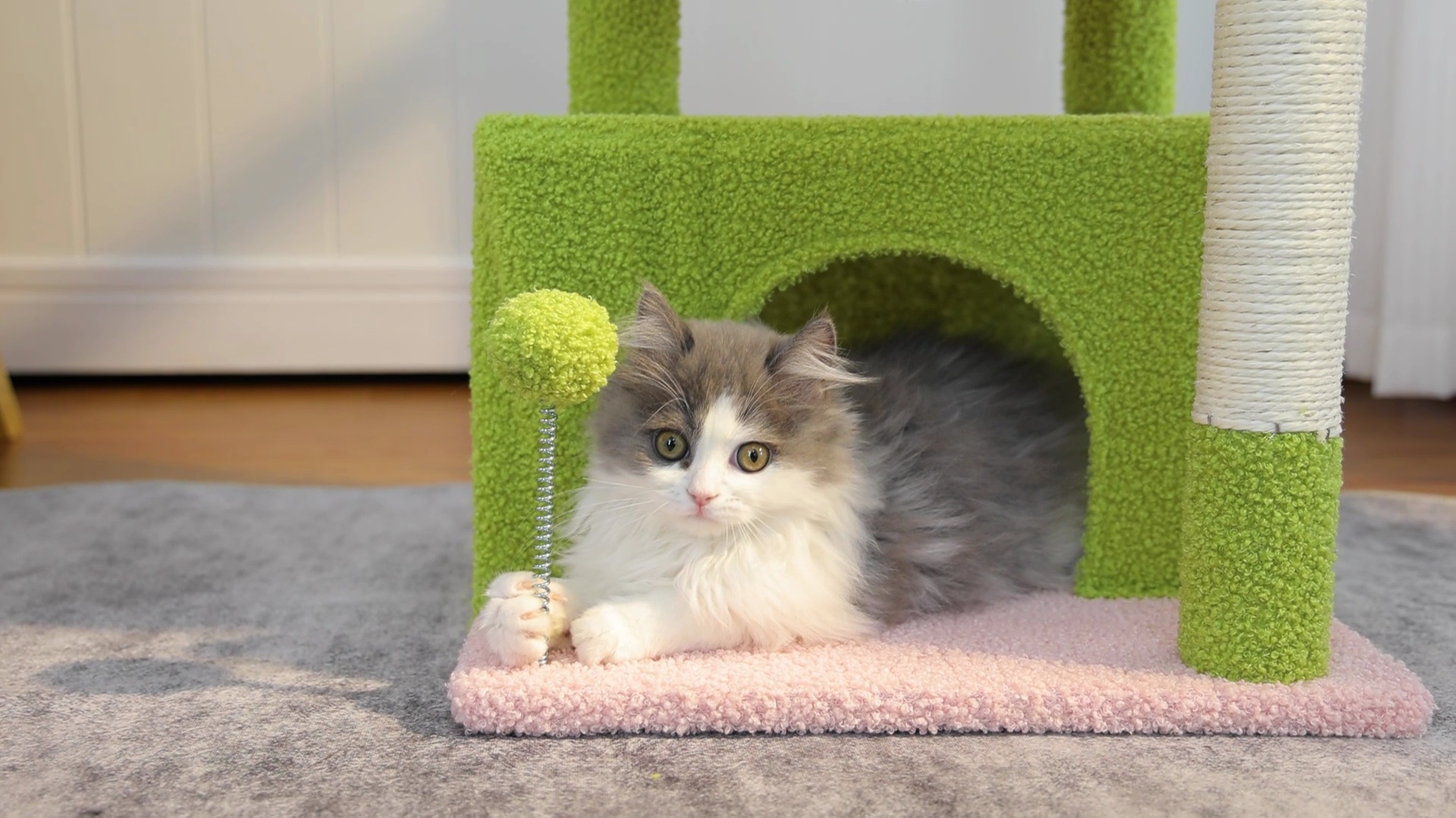 PAWZ ROAD Indoor 33-in Polyester Cat Tree Tower with Large Condo