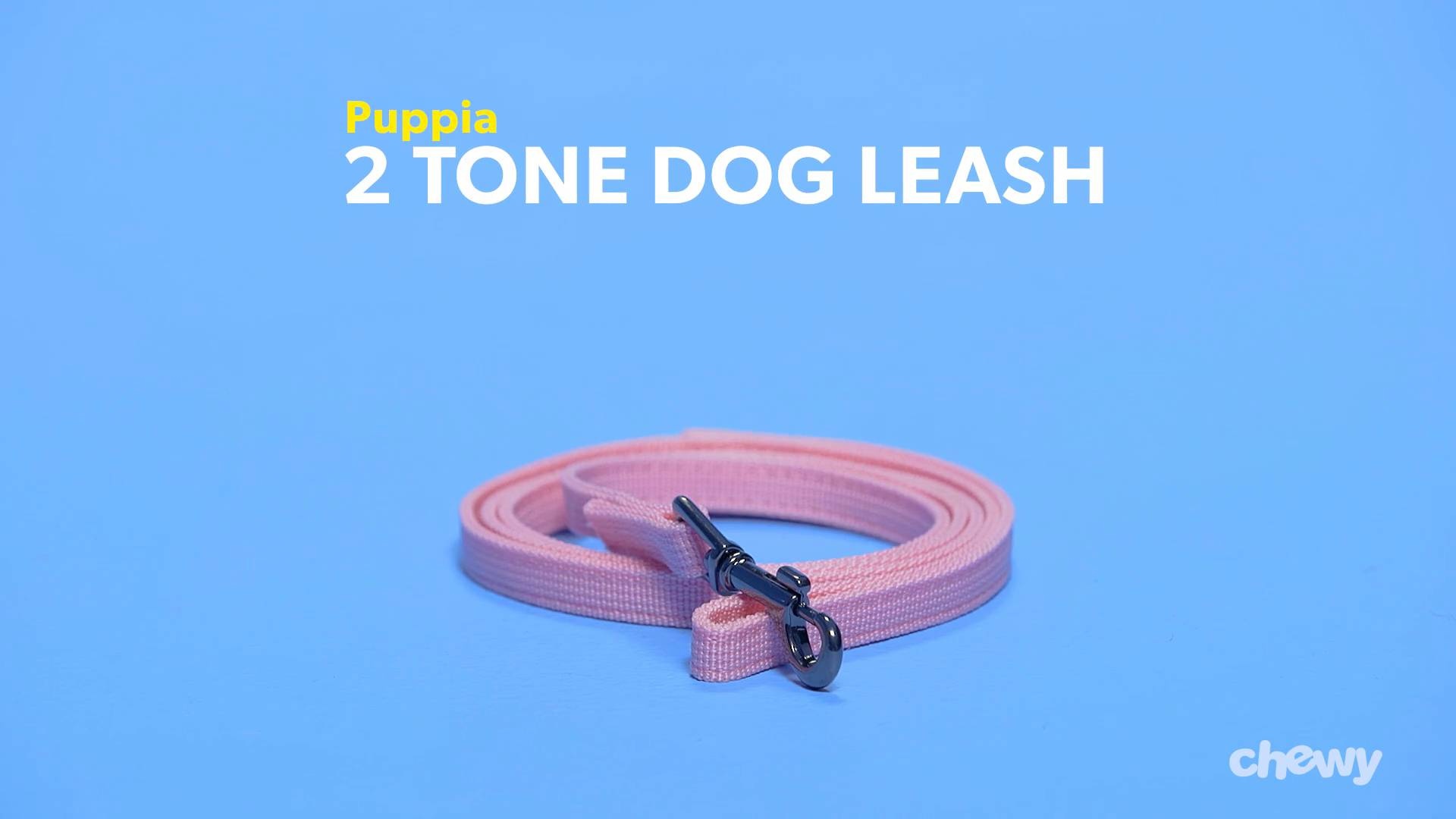 Chewy leather sale leash