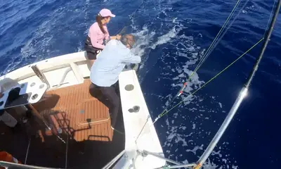 Sydney Report Video 0