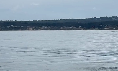 Newport Verslag Video 0