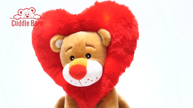 Wistia video thumbnail